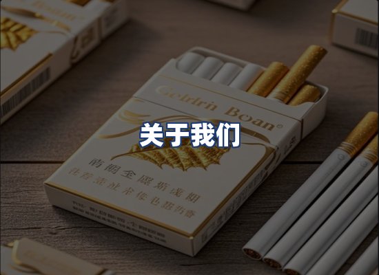 关于我们